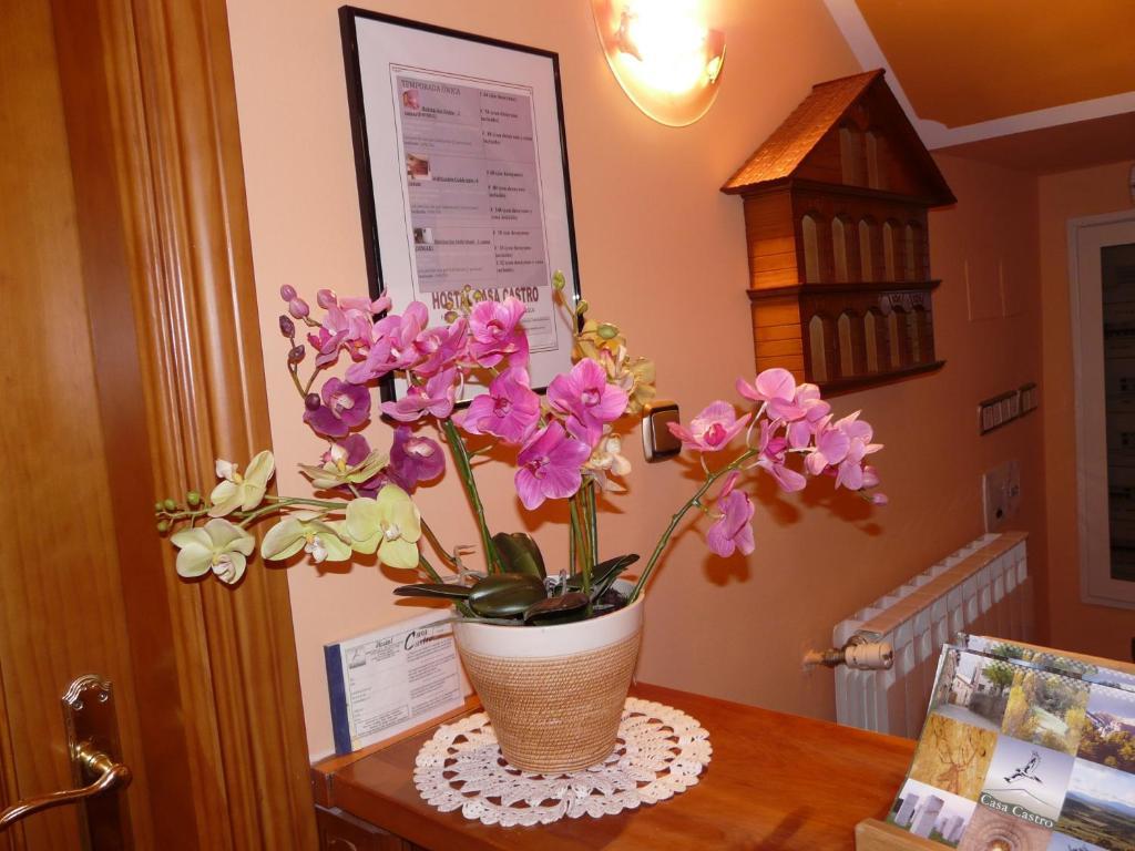 Hostal Rural Casa Castro Alberuela de la Liena المظهر الخارجي الصورة