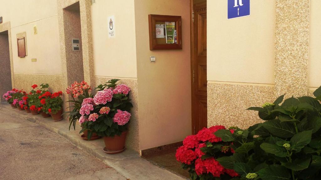 Hostal Rural Casa Castro Alberuela de la Liena المظهر الخارجي الصورة